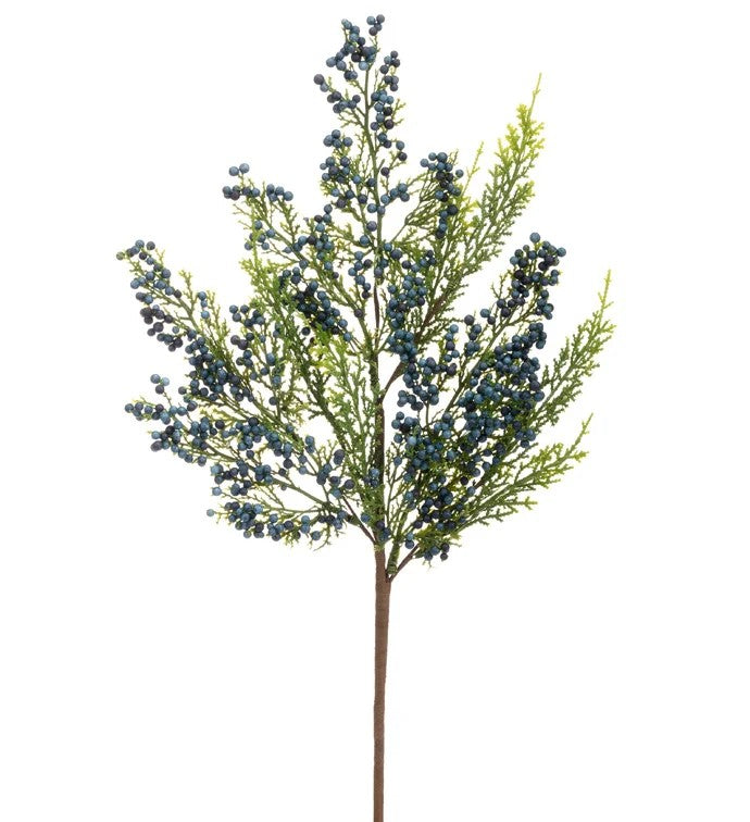 CEDAR BERRY PICK 19" BLUE