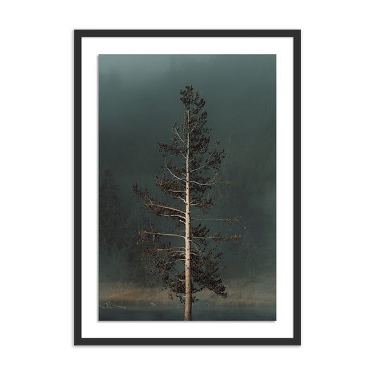 Winds 23" x 32"