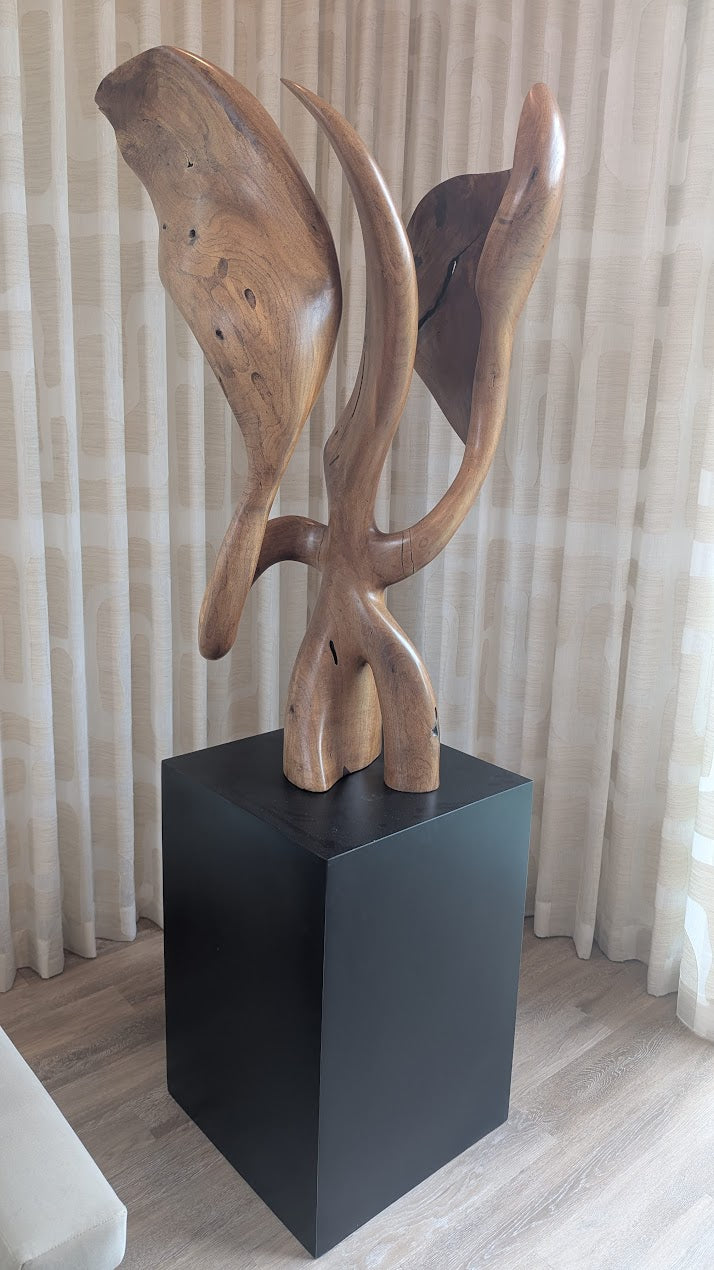 Mesquite Sculpture