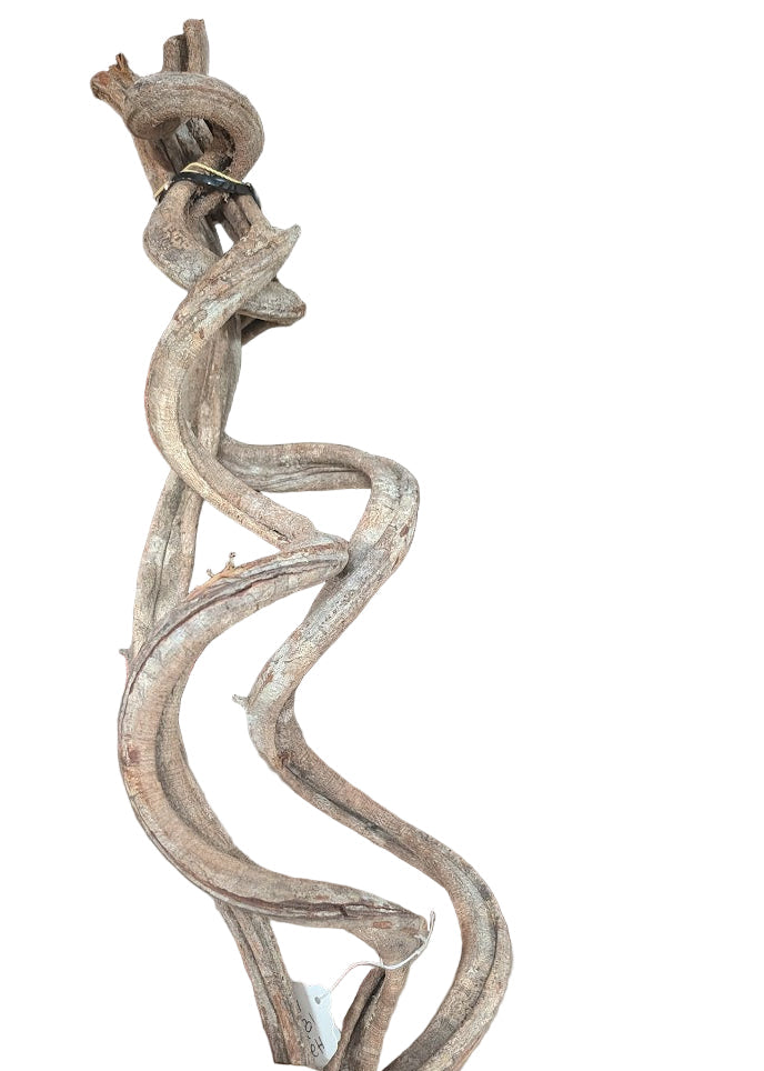 Twisted Vine Bundle - Natural