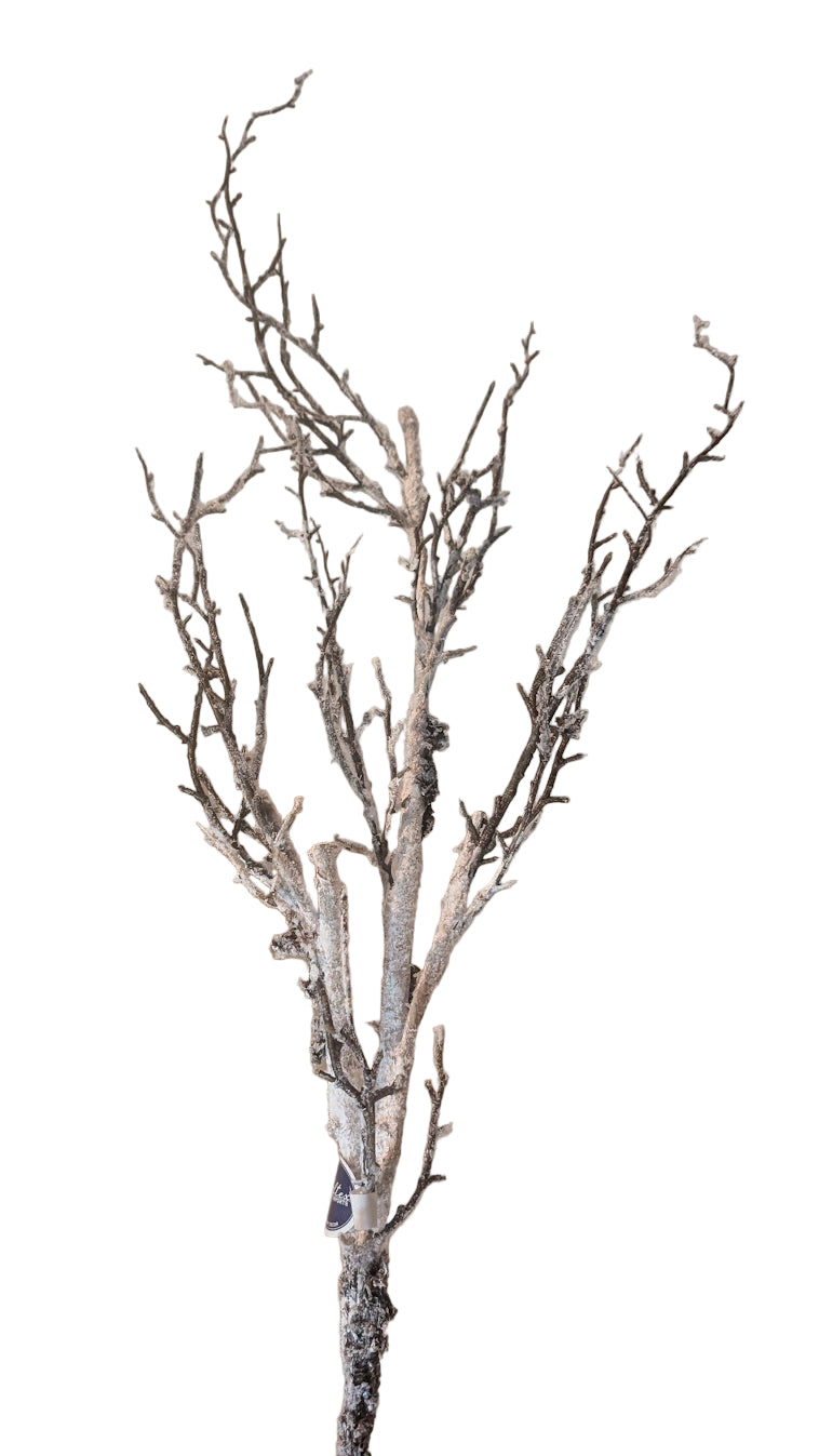 59" Frosted Winter Birch Branch