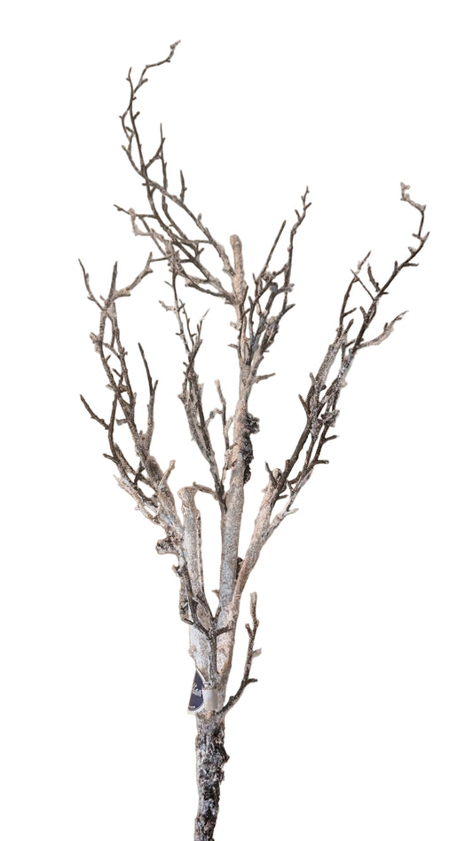 59" Frosted Winter Birch Branch