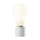 Branded Lamps A19 FROSTED 13W 1600LM 2700K